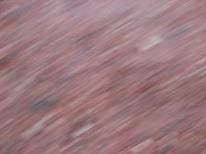 IMG_0890.JPG