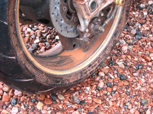 IMG_0895.JPG