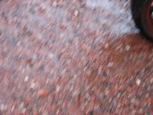 IMG_0899.JPG