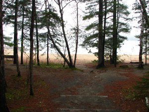 IMG_0928.JPG