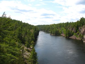 IMG_0949.JPG