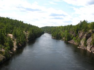 IMG_0953.JPG