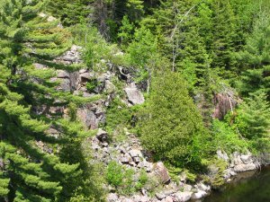 IMG_0955.JPG