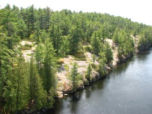 IMG_0957.JPG