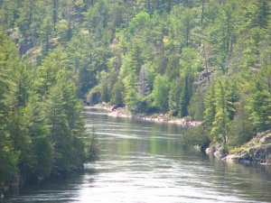 IMG_0958.JPG