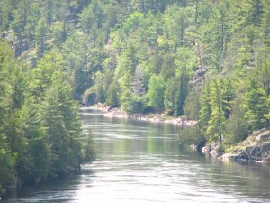 IMG_0959.JPG