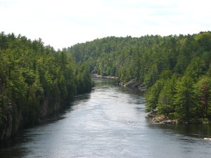 IMG_0960.JPG