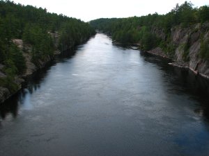 IMG_0979.JPG
