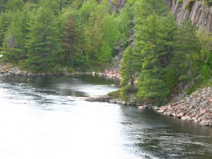 IMG_0980.JPG