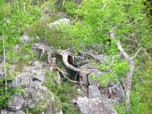IMG_0982.JPG