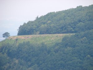 IMG_1691.JPG