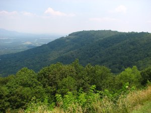 IMG_1698.JPG