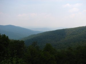 IMG_1702.JPG
