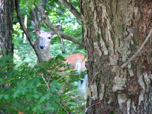 IMG_1716.JPG
