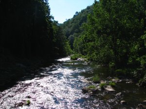 IMG_1788.JPG