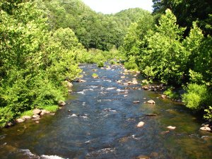 IMG_1790.JPG