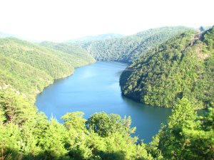 IMG_1831.JPG