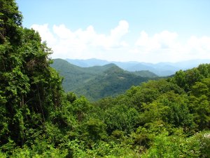 IMG_1885.JPG