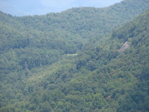 IMG_1887.JPG
