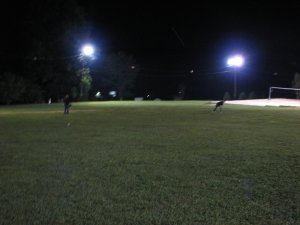 IMG_2060.JPG