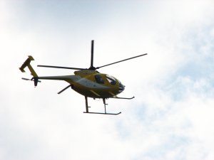 IMG_2100.JPG