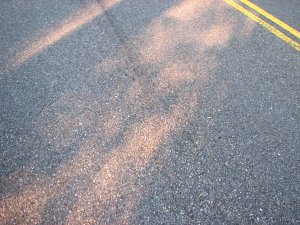IMG_2143.JPG