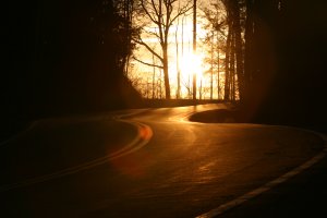 IMG_8521.jpg