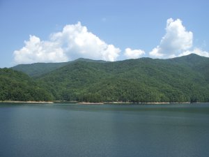 IMGP4850.JPG