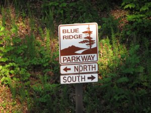 IMG_0046.JPG