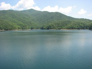IMG_0081.JPG
