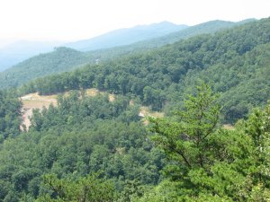 IMG_0145.JPG