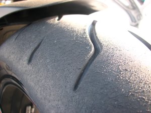 IMG_3965.JPG