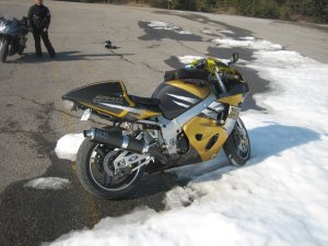 IMG_7462.JPG