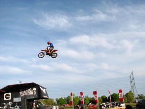 img_7295.jpg