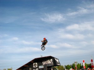 img_7315.jpg