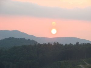 img_8386.jpg