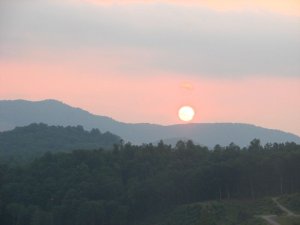 img_8388.jpg