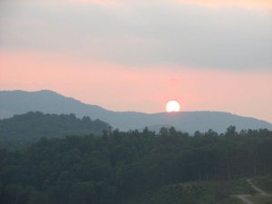img_8389.jpg