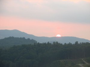 img_8390.jpg