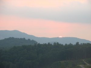 img_8391.jpg