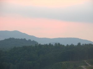 img_8392.jpg