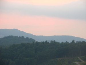 img_8393.jpg