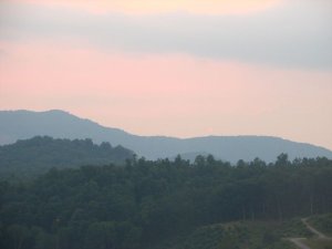 img_8394.jpg