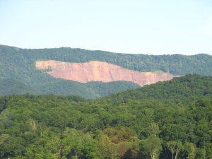img_8406.jpg