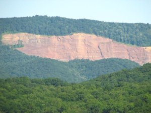 img_8407.jpg