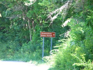 img_8431.jpg