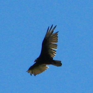 img_8447.jpg