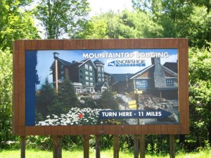 img_8451.jpg