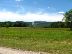img_8456.jpg