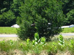 img_8479.jpg